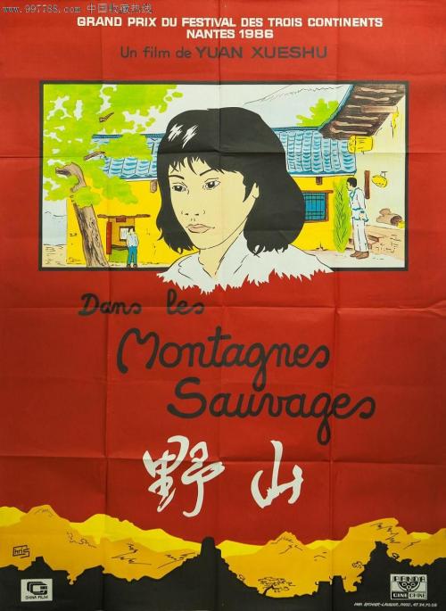 仿制假捷克护照模板